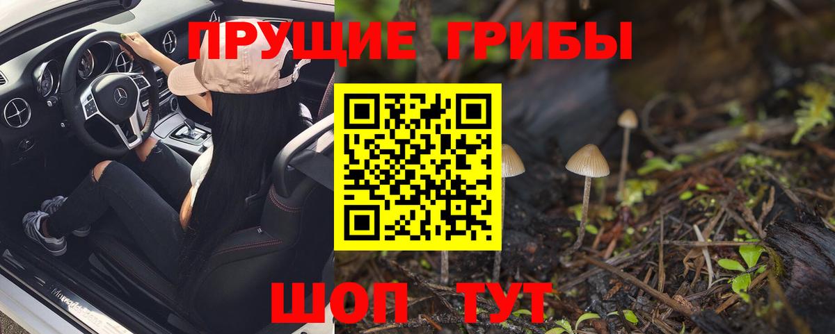 Сертолово  цены   Вход с VPN  Галлюциногенные грибы мухоморы 